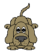 Картинка игривой собаки