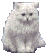 Анимация белого кота