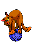 Анимация кота на шаре