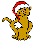 Санта Клаус котик