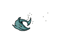 Акула - морское животное